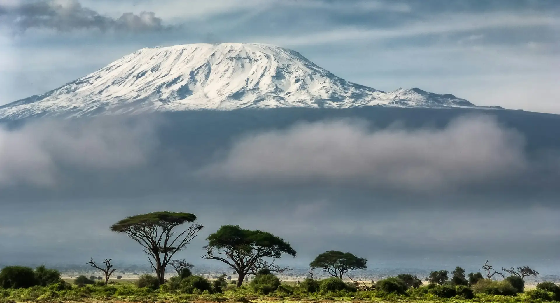 green trees near snow covered mountain during daytime